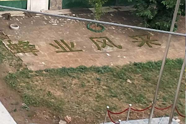 蜂場(chǎng)風(fēng)采