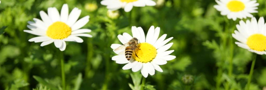 202501191737299221996473.jpg 20180621183543_44796.jpg